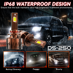 DS250 - 250W