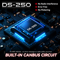 DS250 - 250W