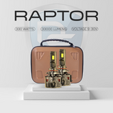 Raptor-300 watt