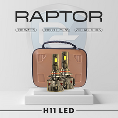 Raptor-300 watts