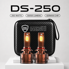 DS250 - 250W