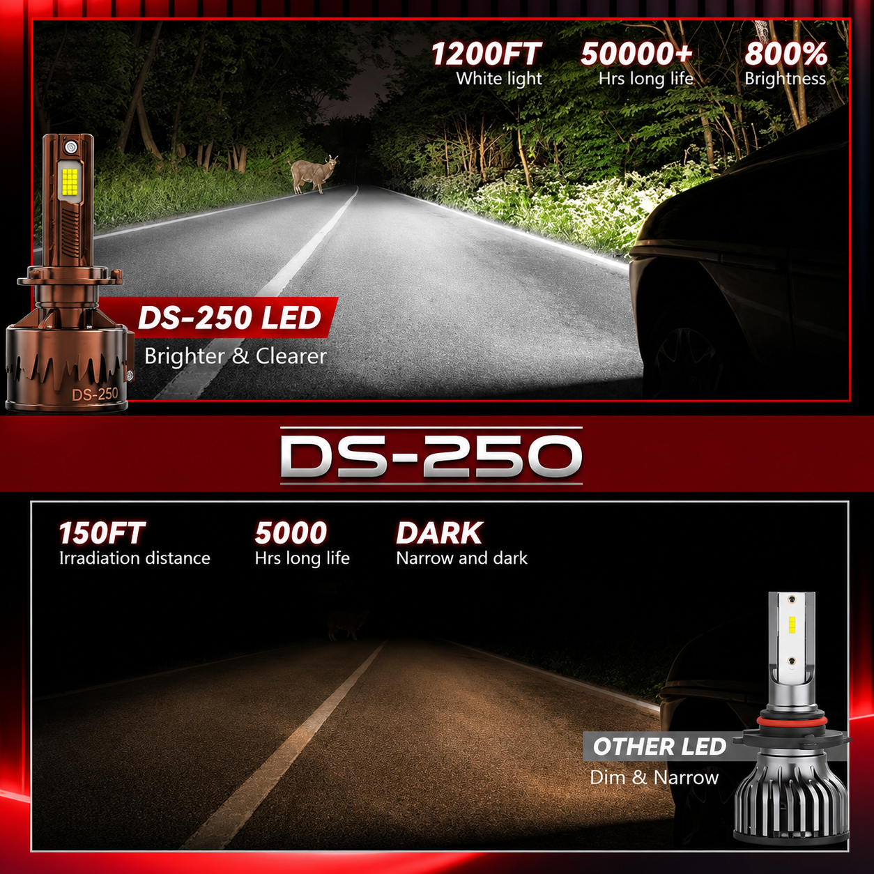 DS250 - 250W