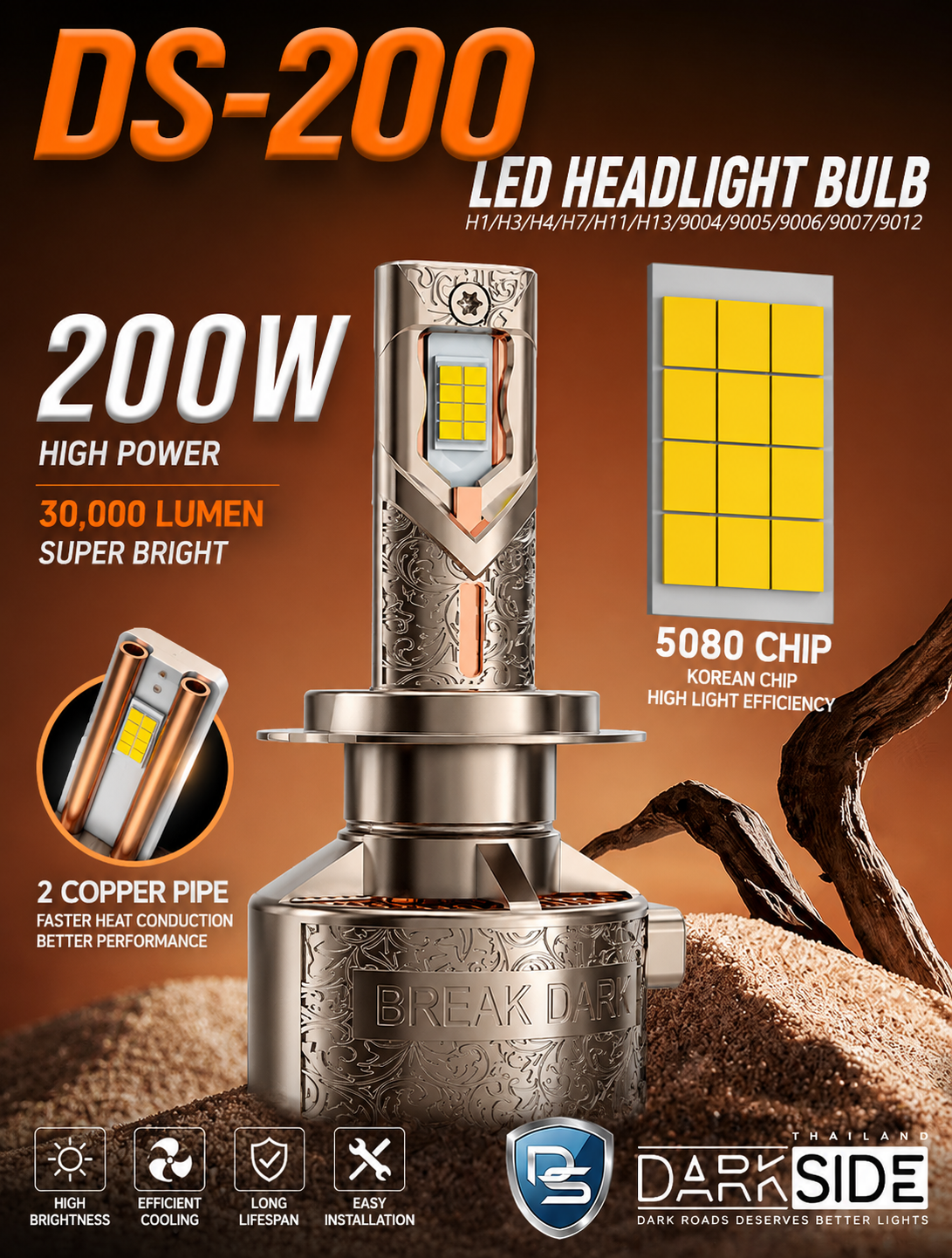 DS 200  - 200 Watts
