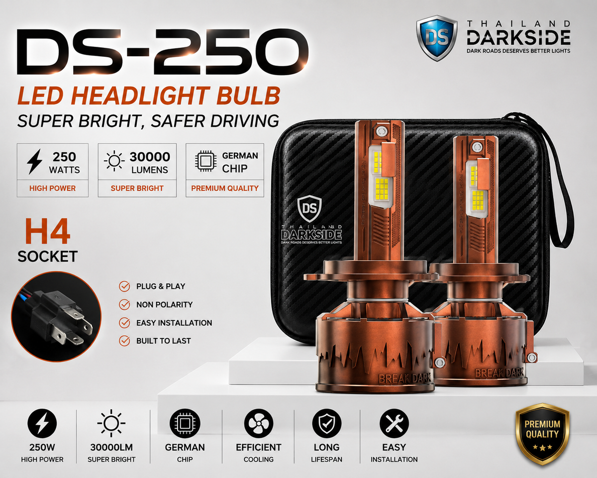 DS250 - 250W